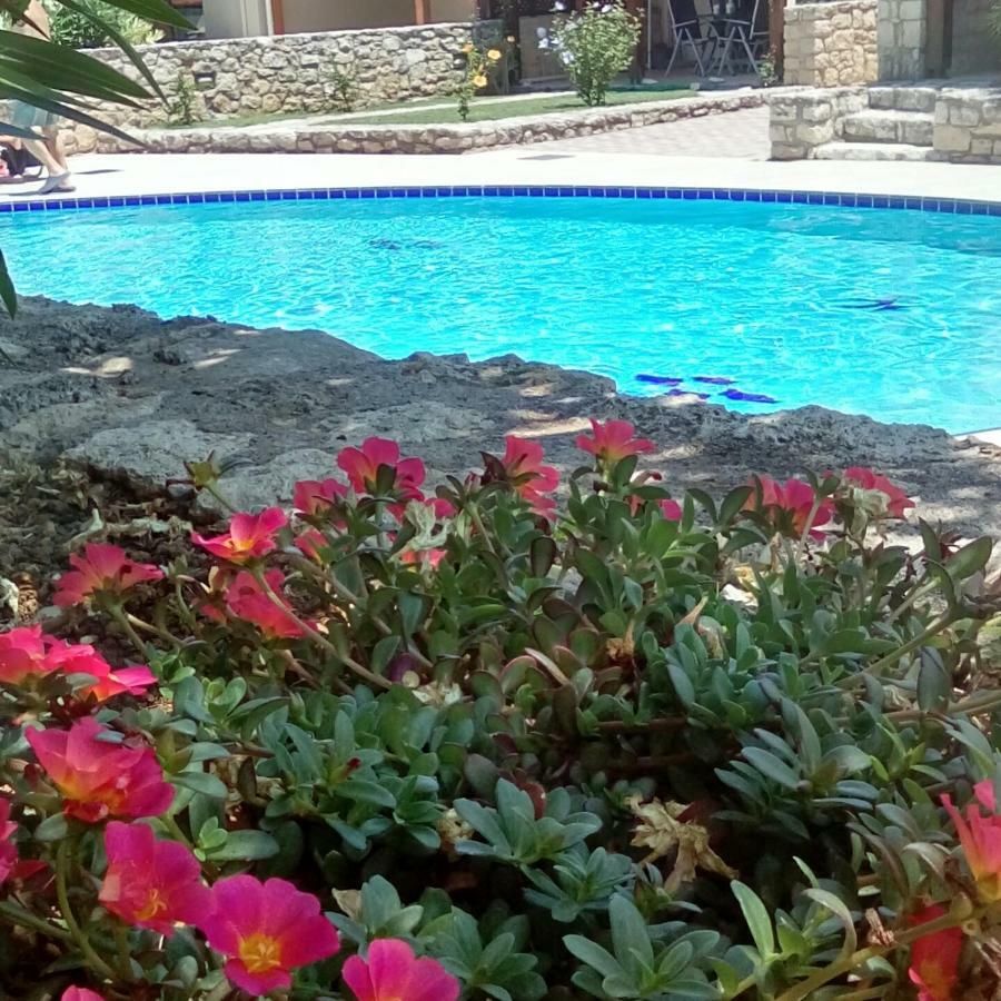 Villa Stella D'oro Georgioupoli Esterno foto